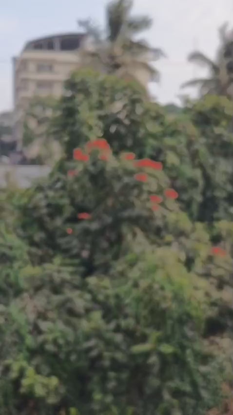 Pink Crown Shaker Number Cake Topper | 0–9 Available | Pack of 1