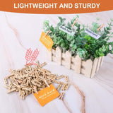 Small Pegs for Photo Wall Home School Wedding Decoration, Clips Photo Pegs | Pack of 50 - Bakeyy.com - India - Small Pegs for Photo Wall Home School Wedding Decoration, Clips Photo Pegs | Pack of 50 - Default Title