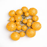 Decorative Faux Sprinkle and Glitter Balls for Cakes and Party Styling | Glitter Faux Balls | Cake Décor | Pack of 20