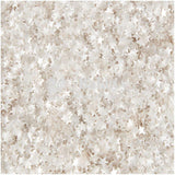 Wilton Edible Accents | Silver Stars | Edible Glitter - Bakeyy.com - India - Wilton Edible Accents | Silver Stars | Edible Glitter - Default Title